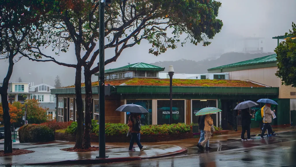 People with umbrellas navigate a wet sidewalk in the rainy urban setting, embodying effective seasonal maintenance. Trees with green canopies and a building with a weatherproofed green roof loom in the background. The overcast sky wraps everything in a wet, misty shroud typical of Bay Area HOAs.