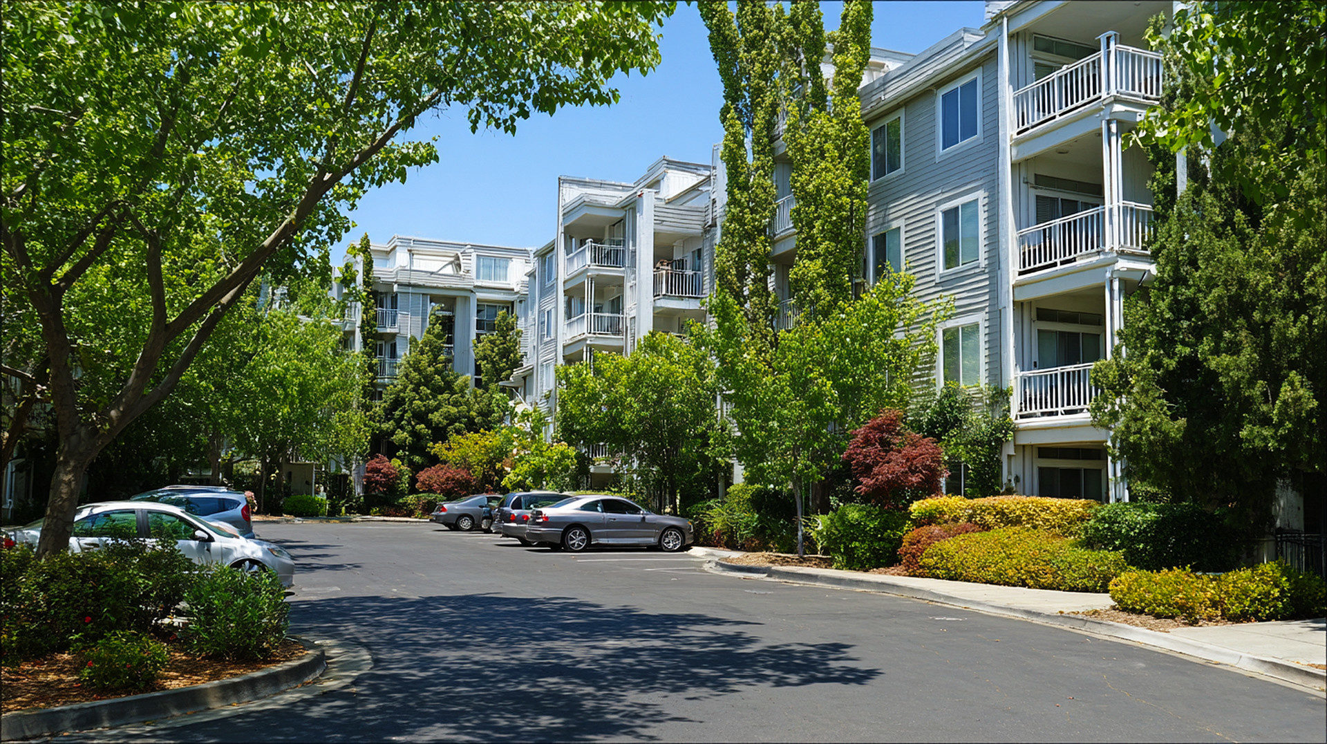 Walnut Creek HOA Management